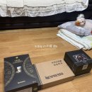 베스트크리에이션
