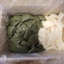 [실버]몸펴기 생활운동 이미지