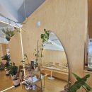 디카프리 완산 이미지