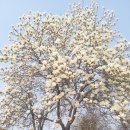 안성리-8 | 평택 농성 (農城)