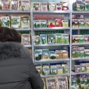 야외정원 스케치 이미지