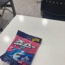 죠스플라잇 | ✈️ 국내 항공사 승무원 특강 후기 @죠스플라잇 한아쌤 죠스레터 구독자 특강