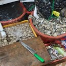 바로바로 행정사사무소 이미지