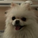 고잔제일소아과의원 이미지