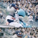 단디 이미지