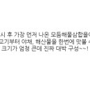 브라더가든