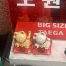 태가커피 이미지