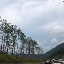 경포빅토리아파크 네이버블로그