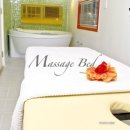 반도스파인 이미지