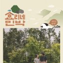 윤식당민박 이미지