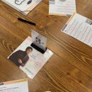 레벨업영어 | 하남점 [36회차] 컬컴 프리토킹 레벨업 솔직후기 내돈내산 하남성인영어회화 강동구영어회화 미사영어회화