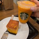 주상면체육공원공중화장실 | ~6월의 후쿠오카~ 유정양과 일본여행✈️