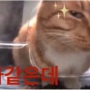 구라 - 순천시 | 구라