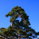 충장사 [忠壯祠] - 충남 당진 이미지