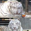 적중농장 이미지