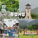 문경 봉천사 개미취 축제 로망스투어 혼여 추천