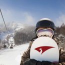 휘닉스파크 이미지