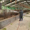 정남진 축산 이미지