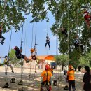 미술관로 이미지