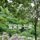 연세홈닥터의원 이미지