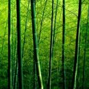 소리귀보청기 이미지