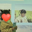 진봉 | 2026 새만금 보리밭 축제 후기 김제청보리축제 진봉보리밭축제