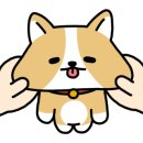 마더스룸 키즈카페 이미지