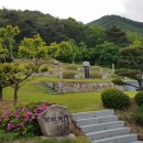 김해 Daum카페