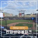 214 | 대전 한화생명볼파크 3루 내야 214구역 4열 시야 먹거리 추천 아기와 직관 꿀팁 총정리