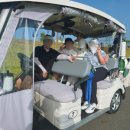 플라밍고C.C 이미지