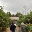 세훈농장 이미지