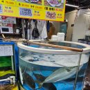 모듬내길 | 구리수산물시장 대박수산 대게 방어 모듬회 호남집 가족모임 후기