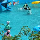 황제펜션 | [완주독채펜션 고덕펜션] 완주단체펜션·완주워크샵펜션·완주엠티펜션 한 번에 해결! 수영장 있는 감성...