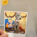 운정 멍발소 이미지