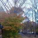 혜봉원목조보살입상 | [창원박물대학] 충주 미륵사지 석조여래입상