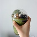 메가커피 빙수 후기｜4,400원인데 스벅 반값? 양 보고 진짜 놀람