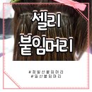 [일산] 일산 붙임머리 잘하는 셀리붙임머리에서 겨울여신으로 변신해봐요 ๑őεő๑