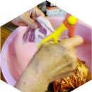 돈우축산 - 부천시 원미구 수도로180번길 21 | [구독경제 서포터즈] 통목살 김치찜 만드는 간단한 방법