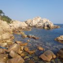 대왕암공원 이미지