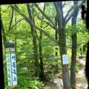 서문국수 네이버블로그