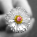 나의작은집 이미지