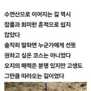 화봉 Daum카페