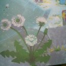 흰민들레소식 이미지