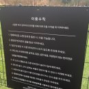 제주멍 | [제주여행] 애견동반 숙소 추천 &#39;제주 한화리조트&#39; 멍패커 반려견과 다녀온 후기