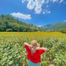 가람게스트하우스 | 강원도 여행지 추천 가볼만한곳 국내 가족 여행