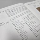 모던민화