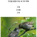 세가지 - 제주시 월구길 4 | 세가지
