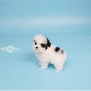 하나토이 이미지