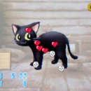 일람농장 이미지