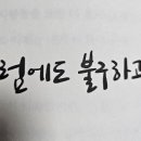 이남지 이미지